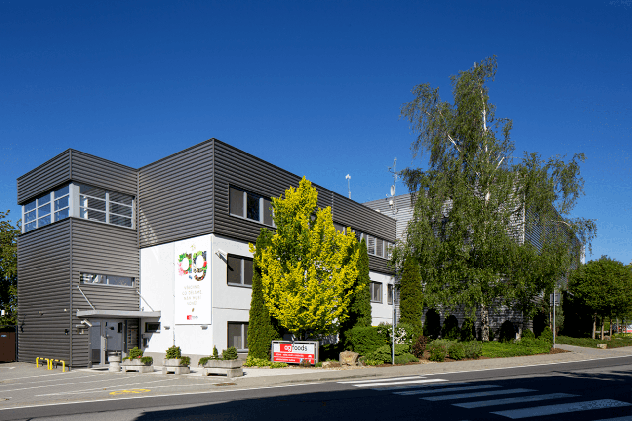 lidi